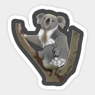 Koala Sticker